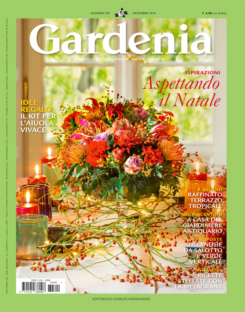gardenia_dicembre16